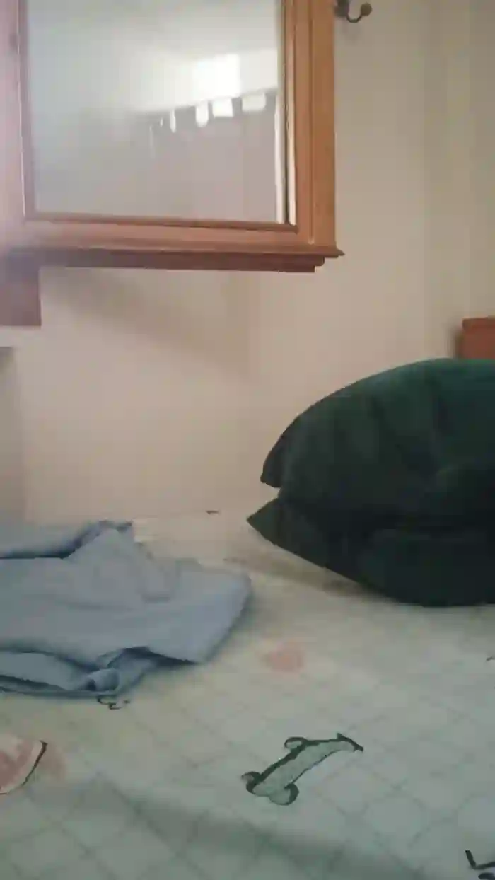 FoxySpanks