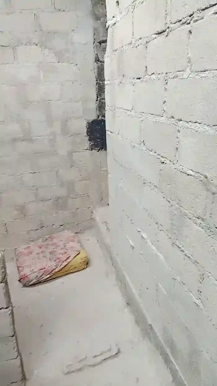 NinphGraceX