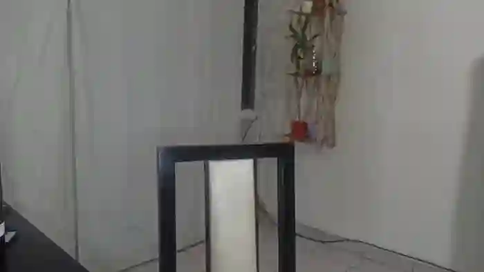 BeluG24