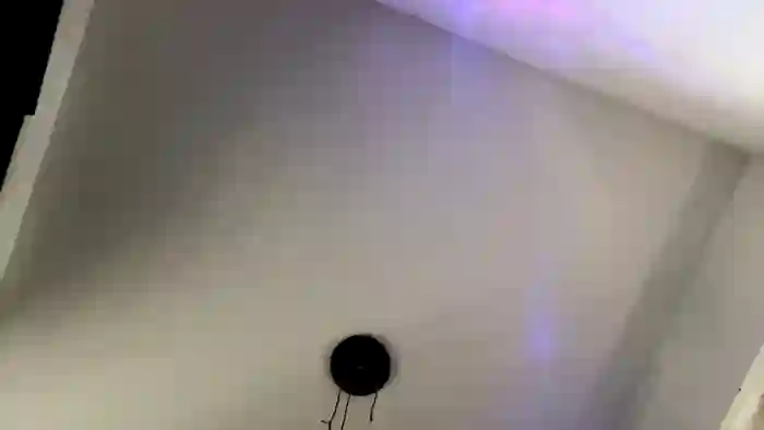 nastyboy88