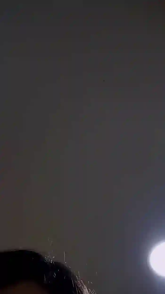 Lindafox99