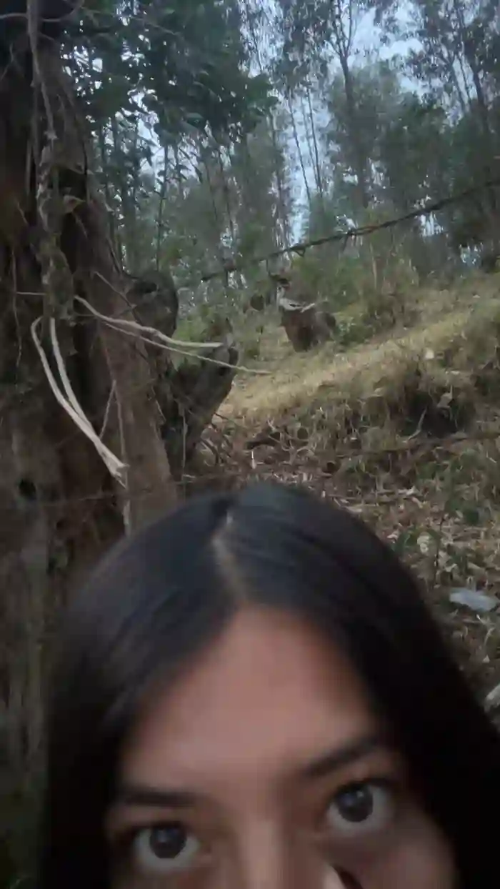 Lindafox99