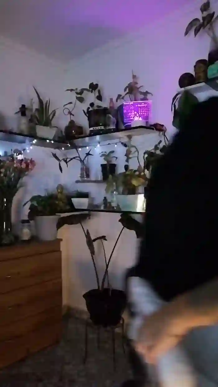 CrazyMom69