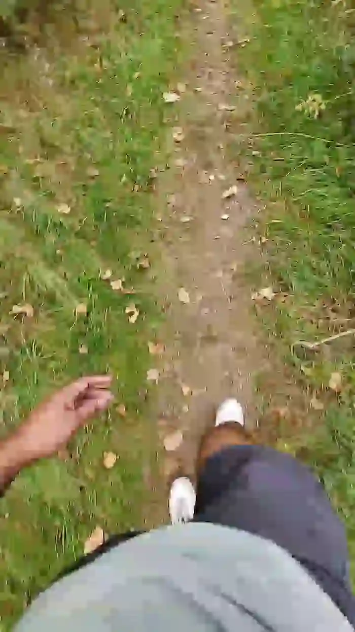 bulgingarmy