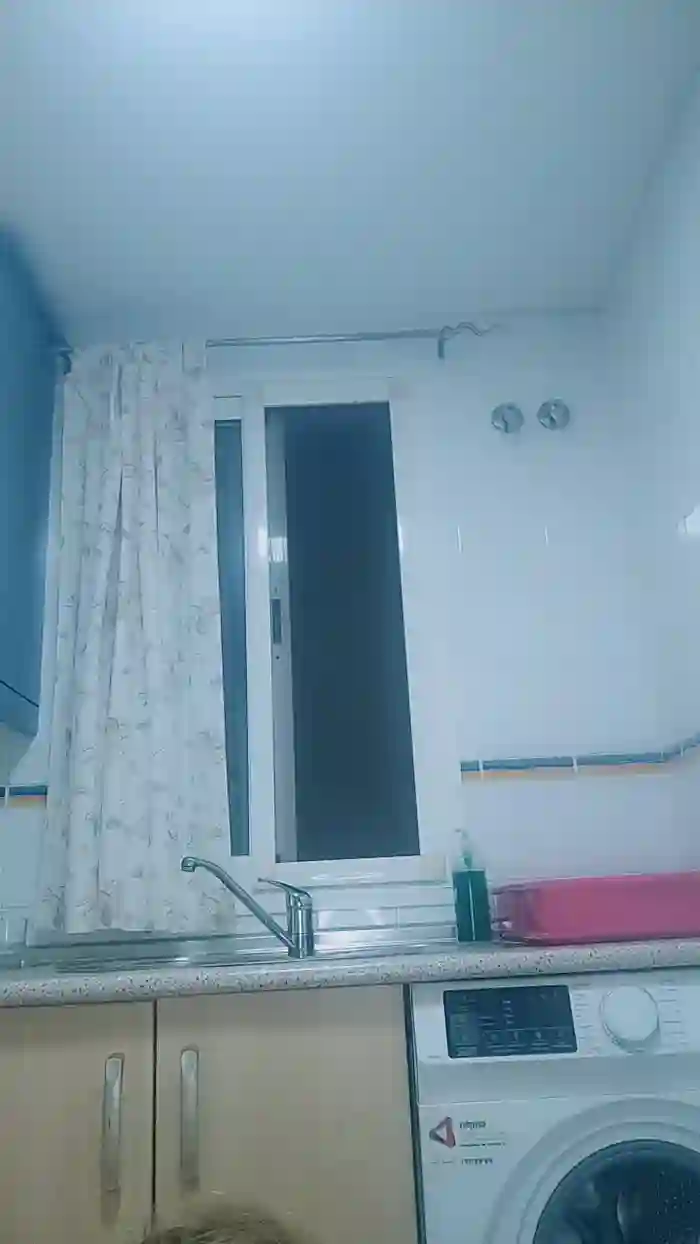 stefycamy