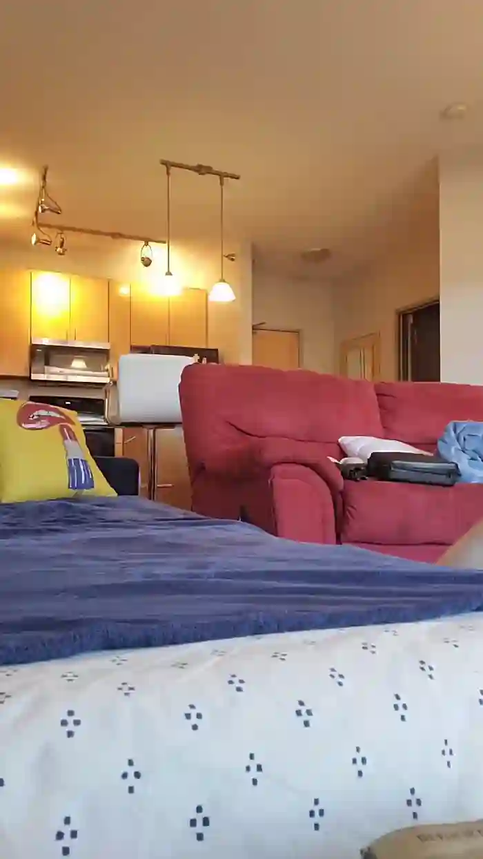 HoneyWolfxoxo
