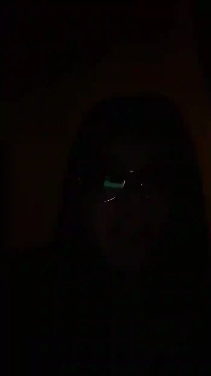 KittySadge