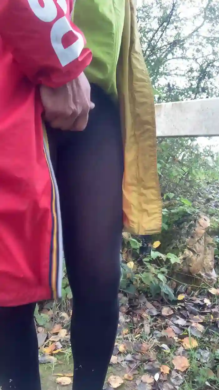 Joueurh