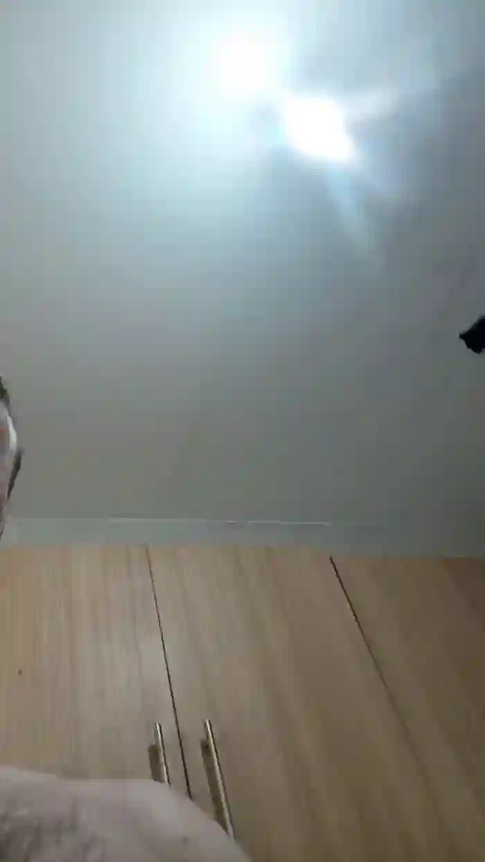 parejitamad2