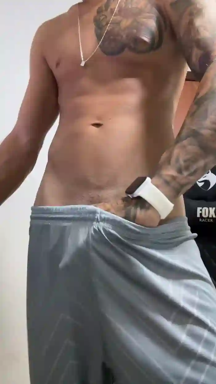 gato_dtado