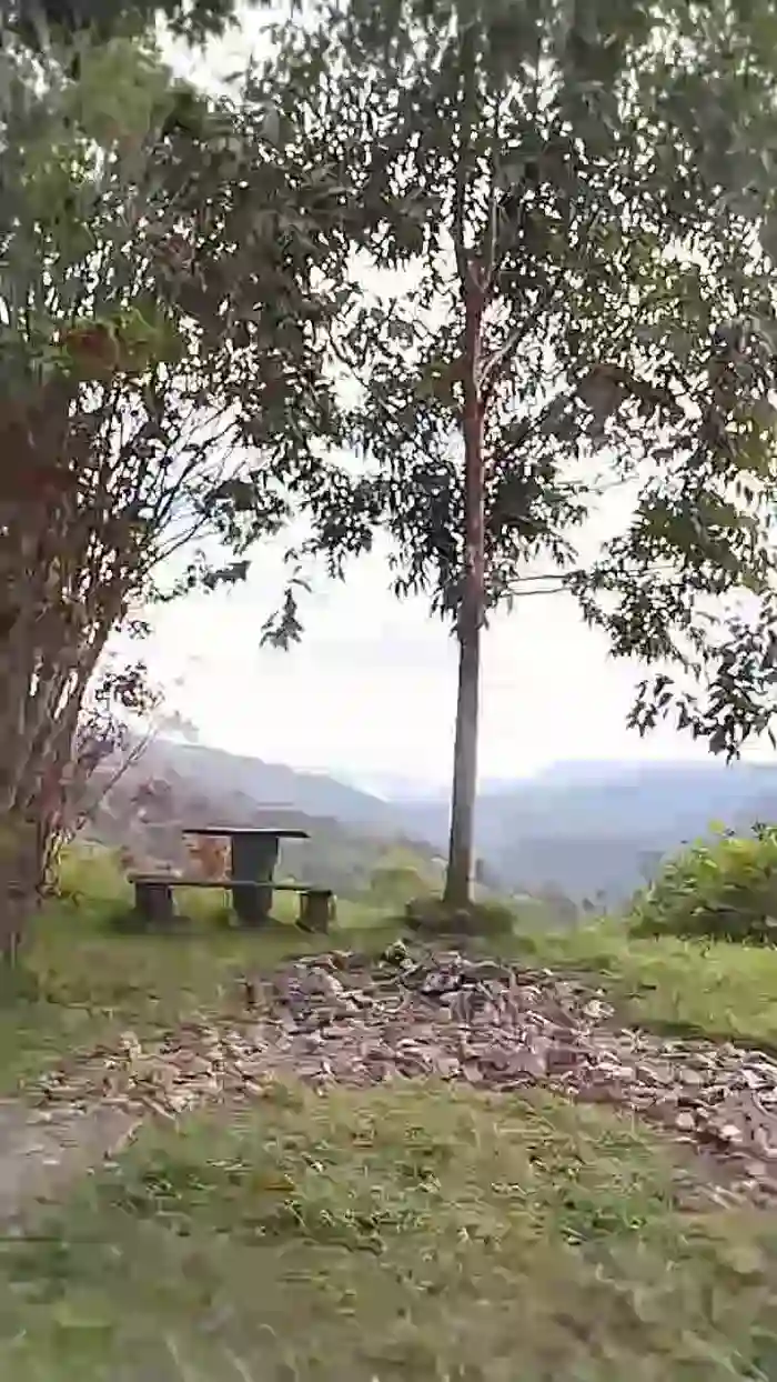 Remote_live