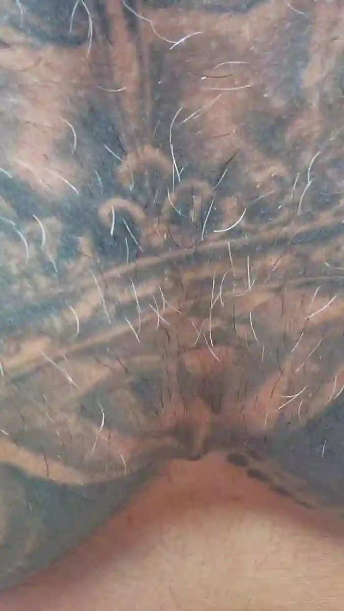 Nicolas_1988