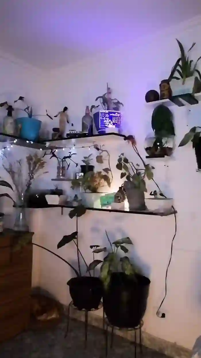 CrazyMom69