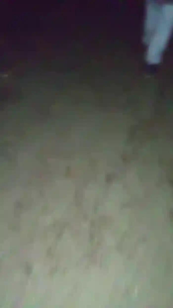 DamianPollonxD