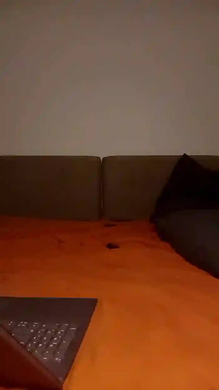 PIPOLINA76