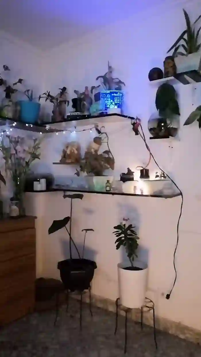 CrazyMom69