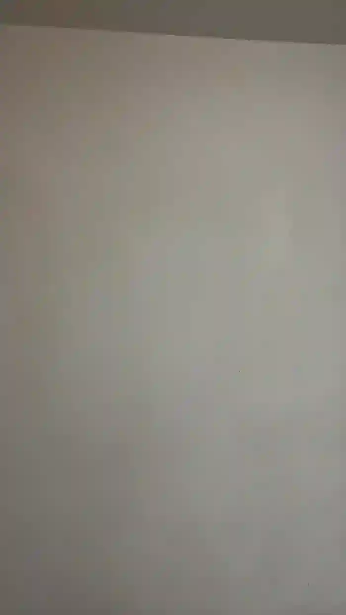 Amatistkitten