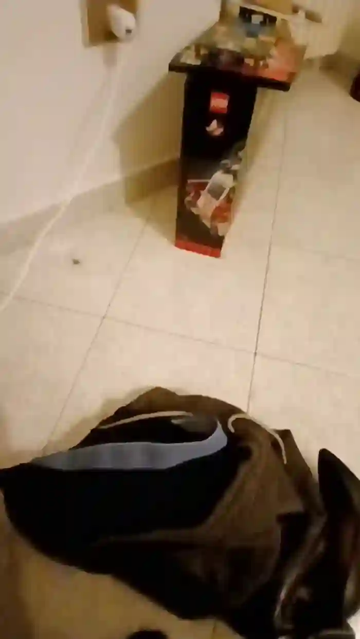 alessandravite1