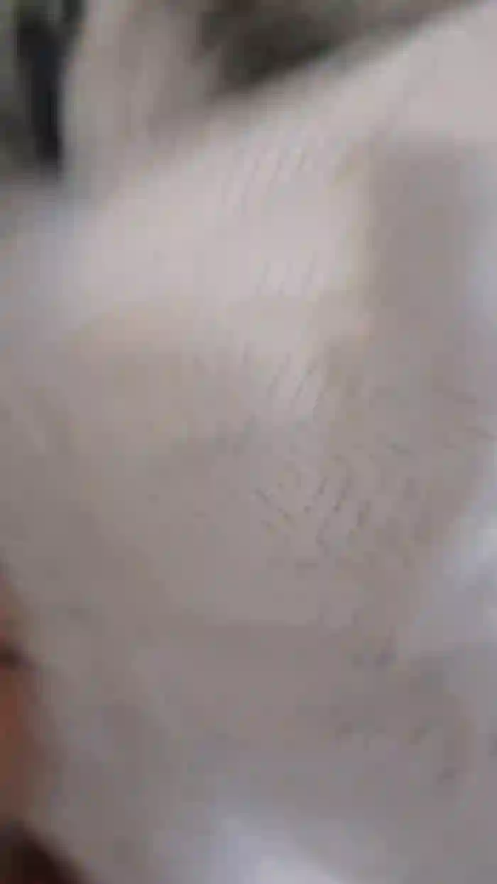 alessandravite1