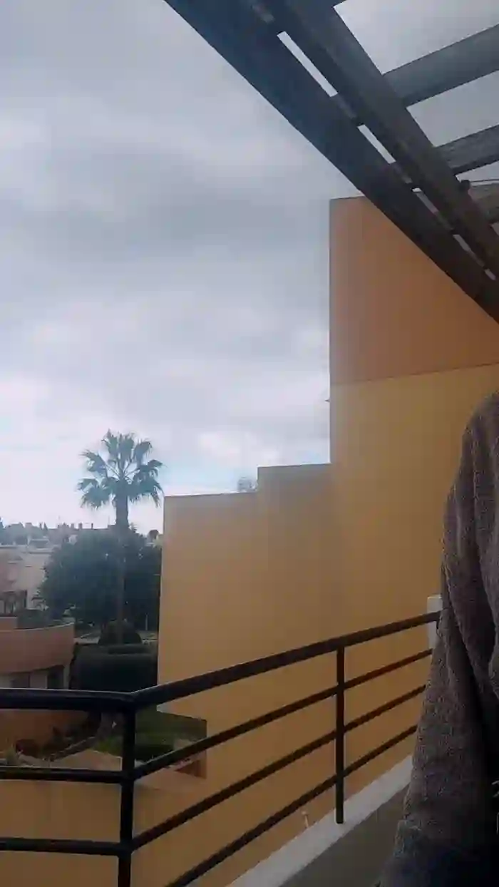 stefycamy