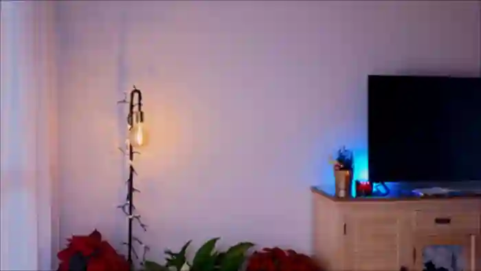 Anabel_curvy