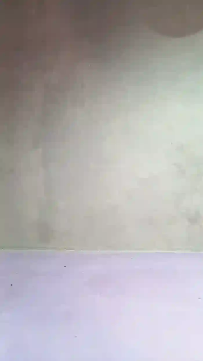 garbeilsrnxxx