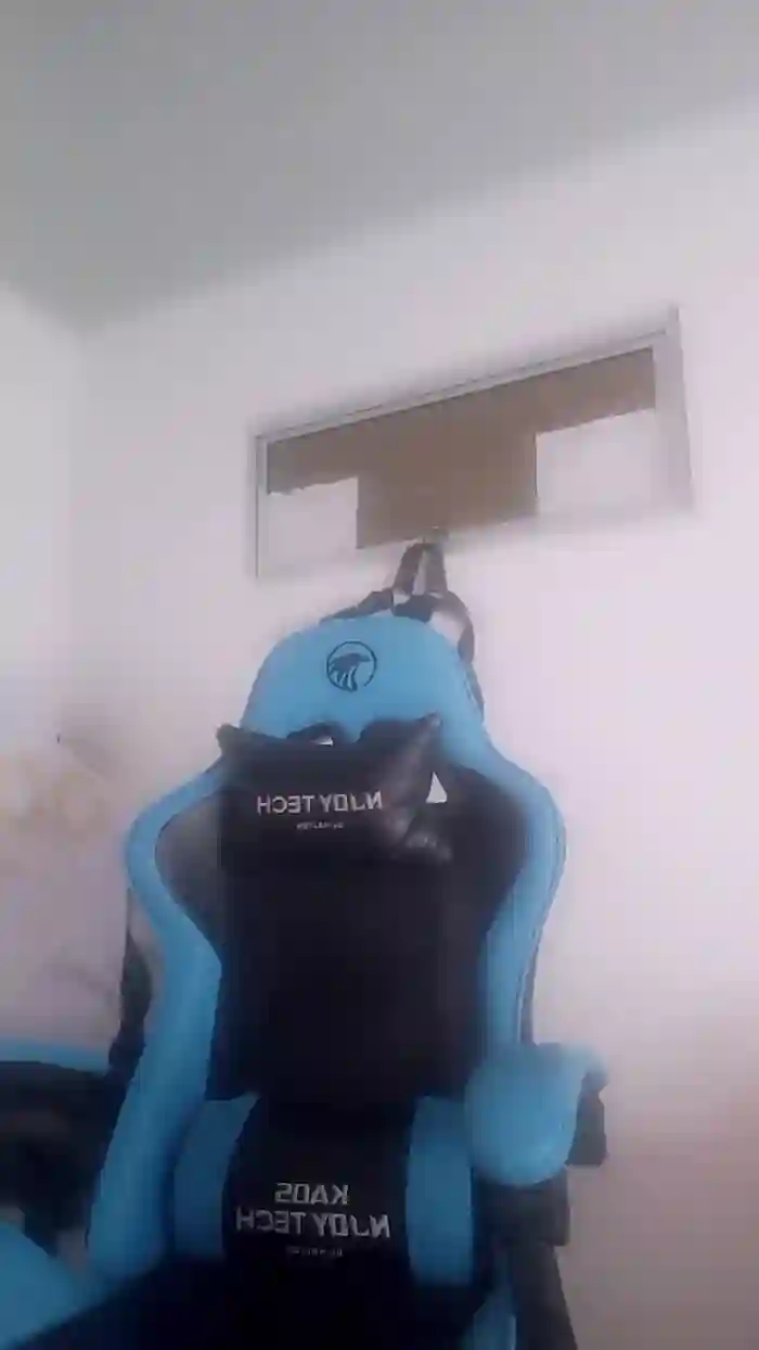 zoe_kimm