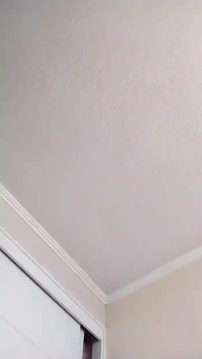 Latinaakita4