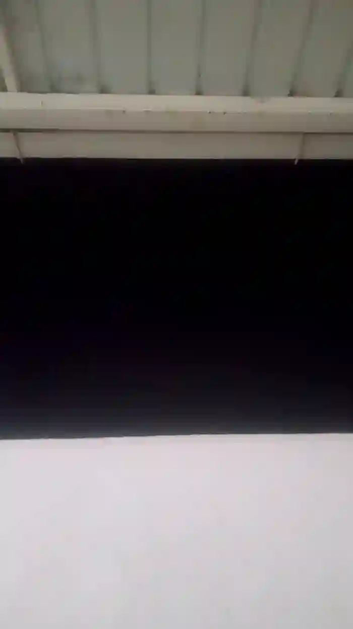 zoe_kimm