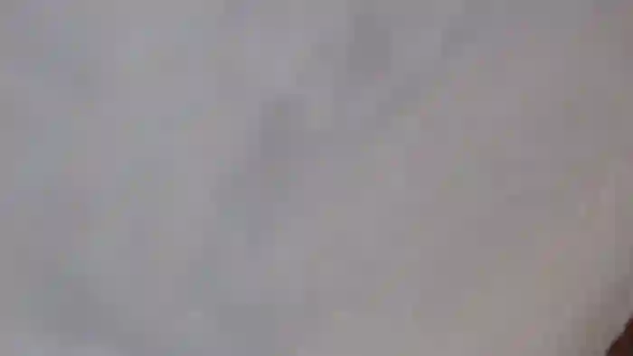 fenicerossa