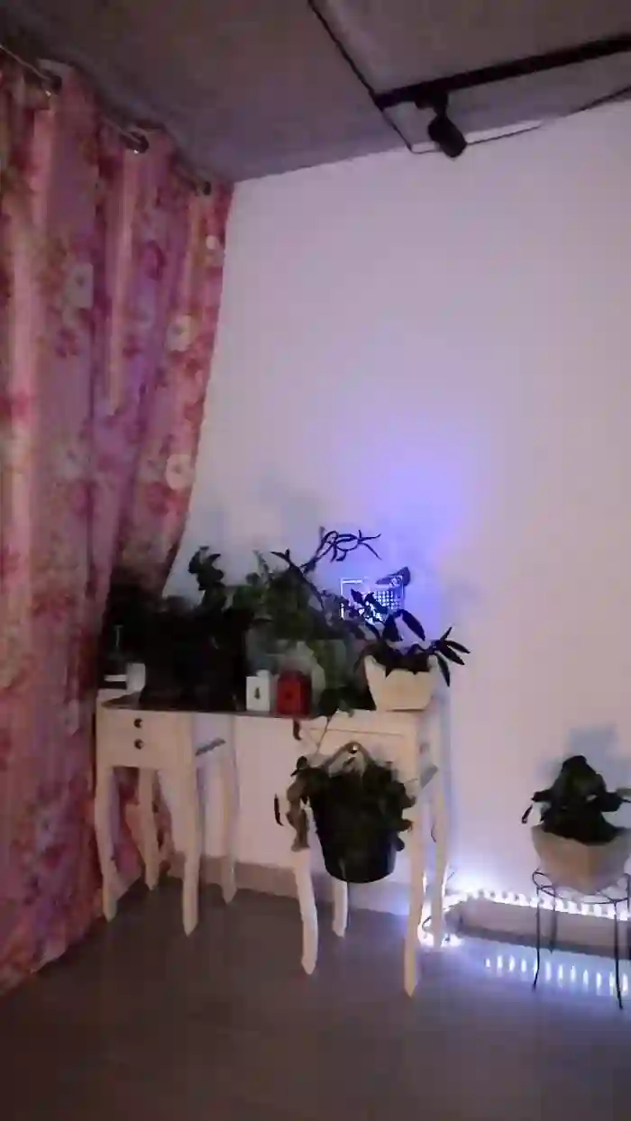 CrazyMom69