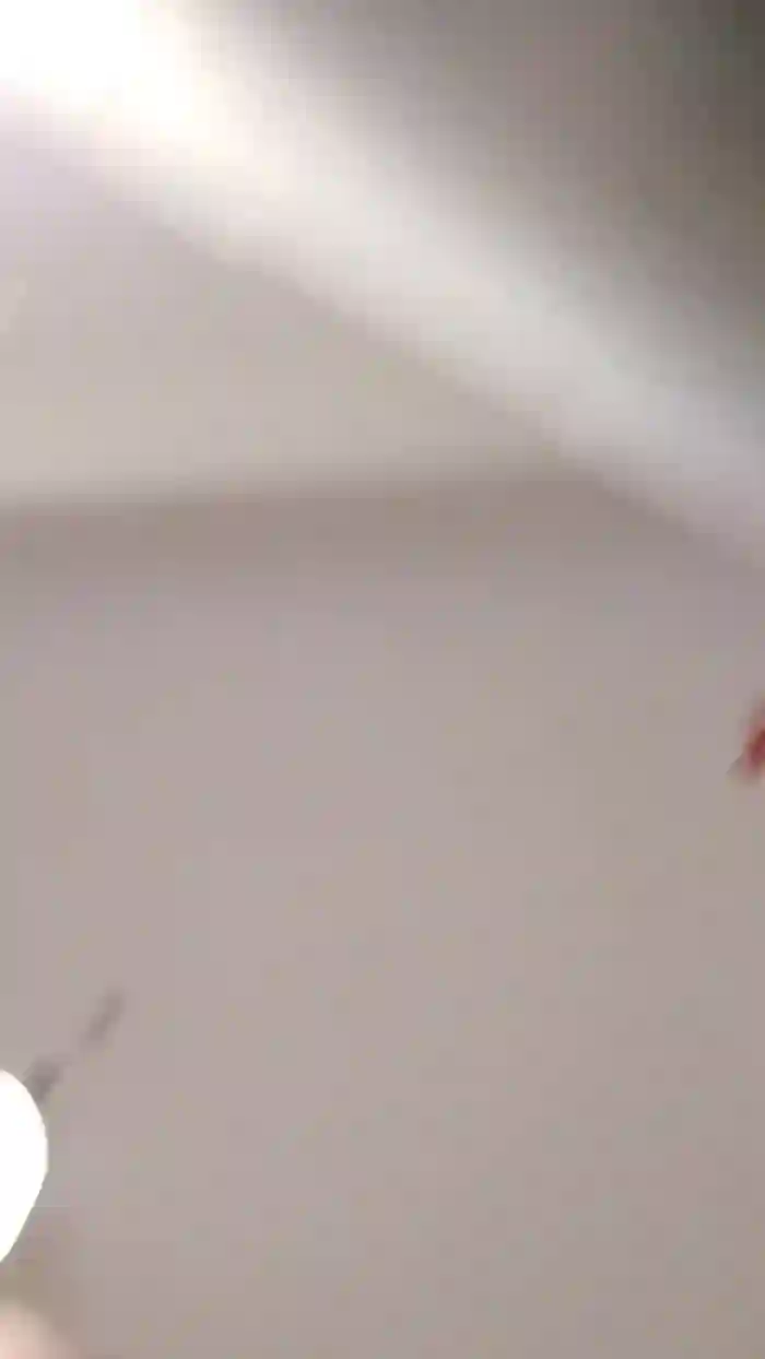 Kittenpurrr
