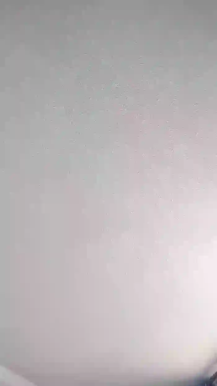Latinaakita4