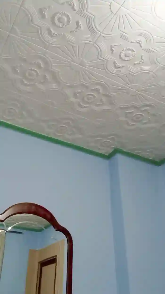 HAIRYPUSSYLIPS