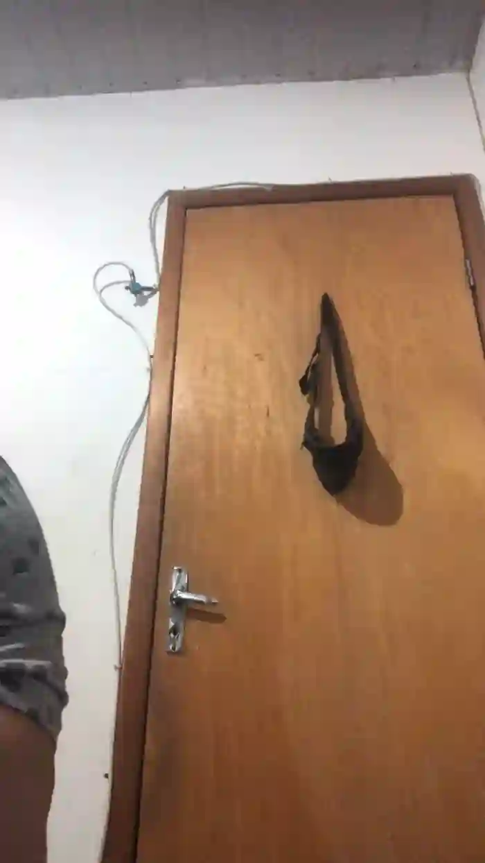 bruanavasconce5