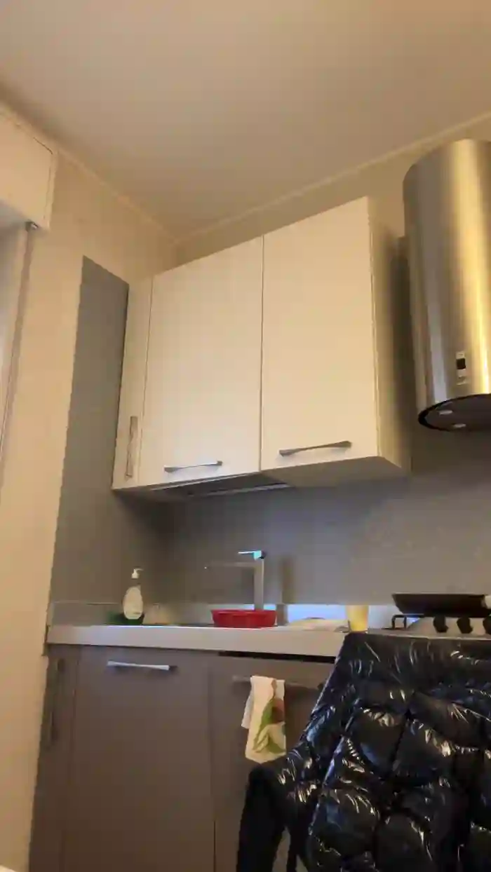 Bigwhitebull