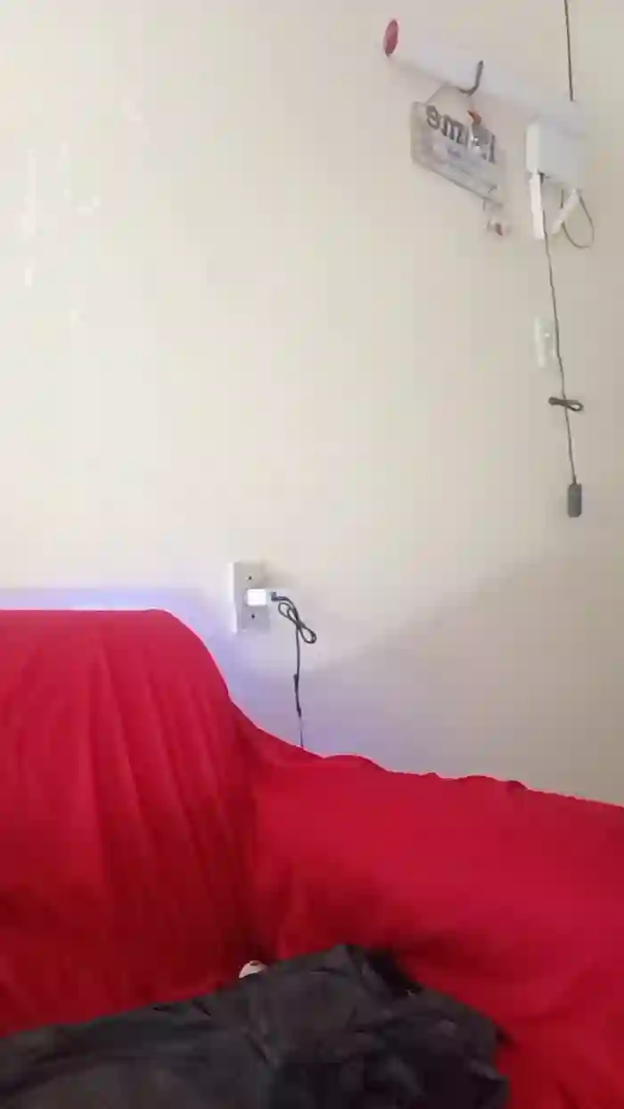 L_Lily