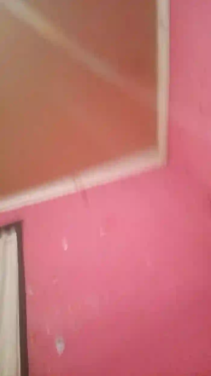 nooocllama