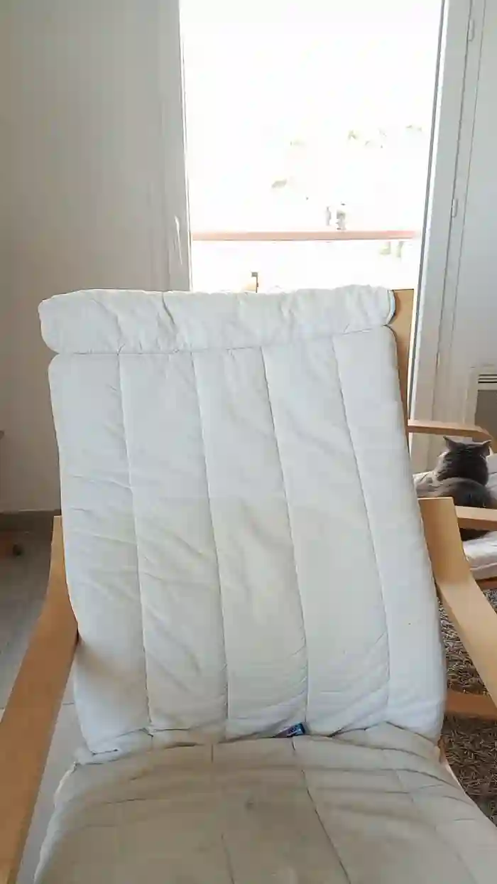 Mimidreve_