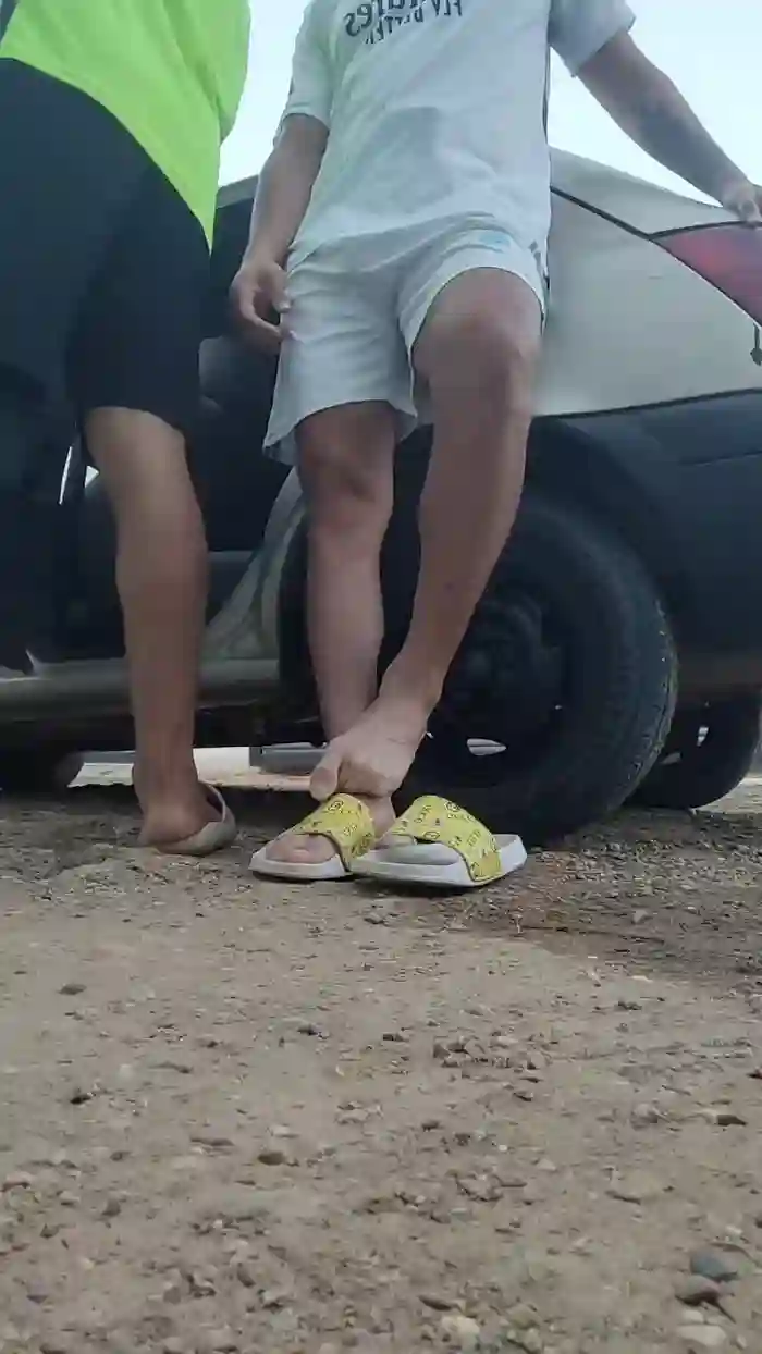 Papiyoungpig