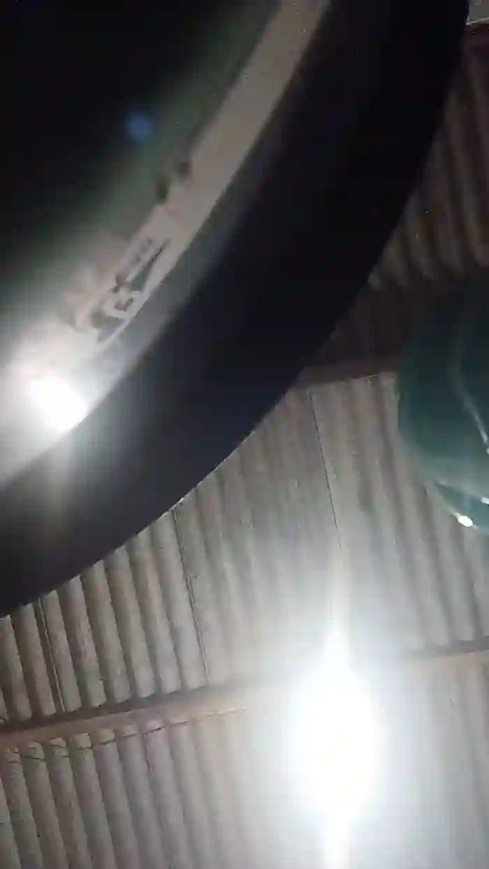 AuroraLiz