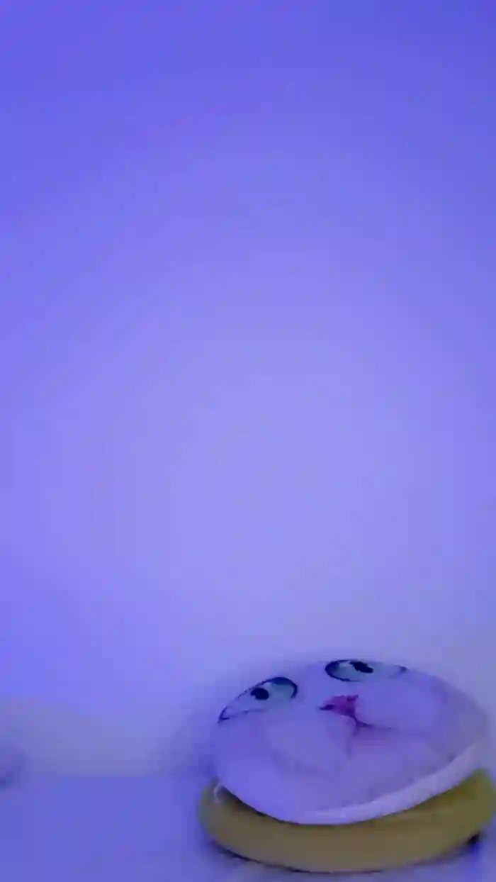 MonyCat_