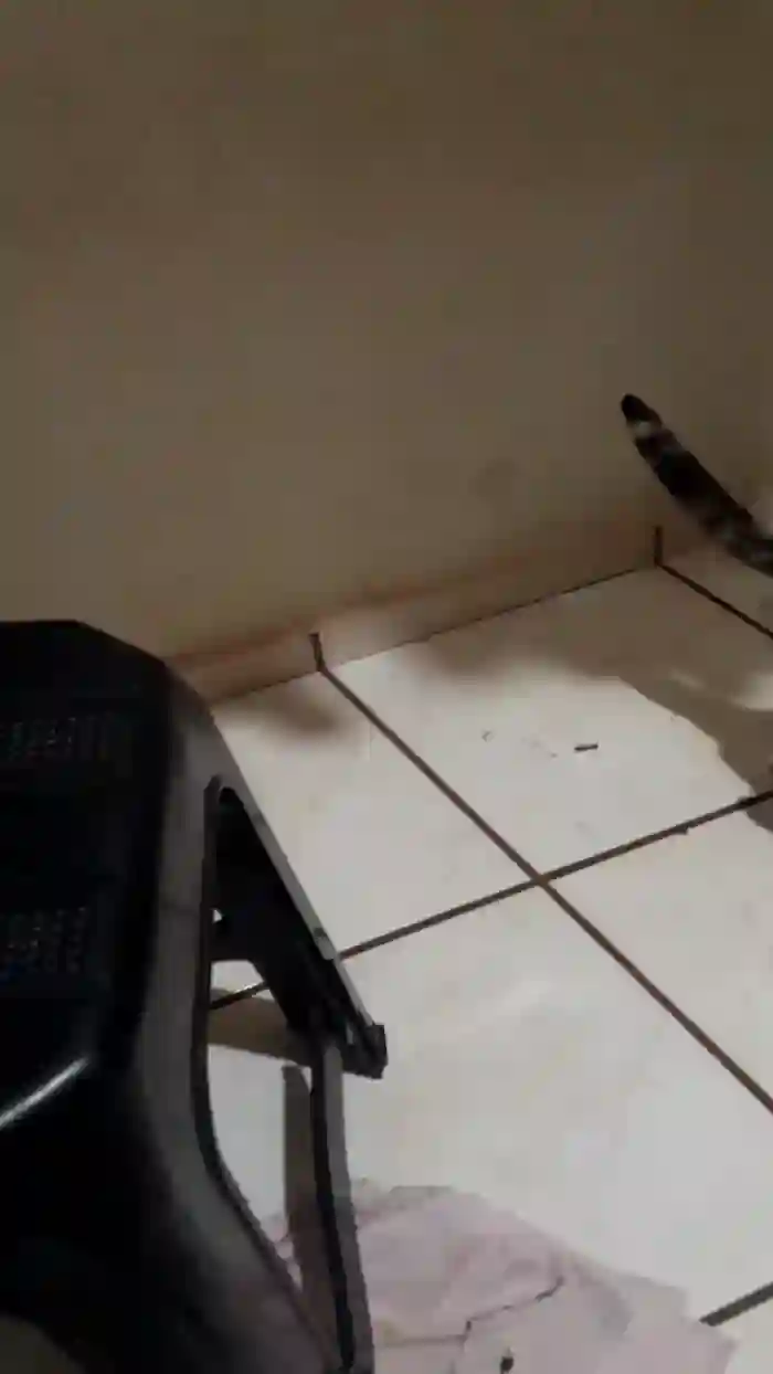 REGIHH_ROO