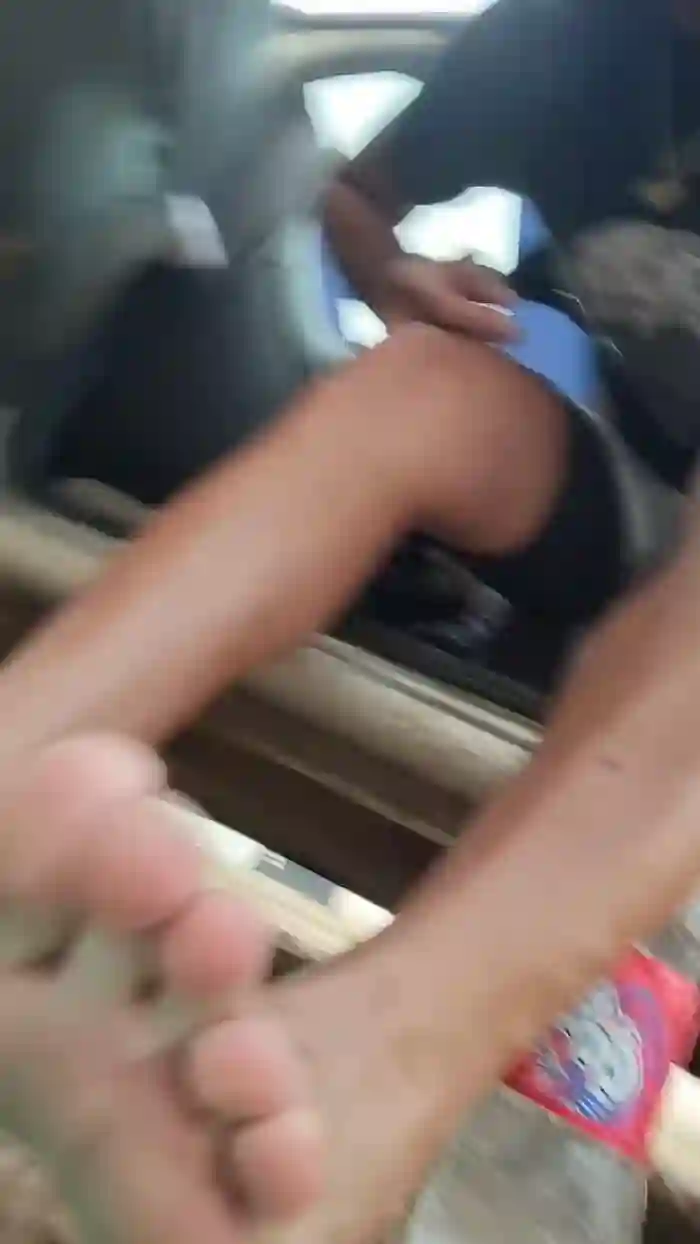 Papiyoungpig
