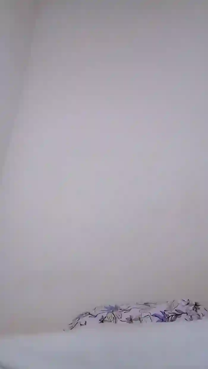 1YummyxDanda