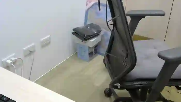 willy51411