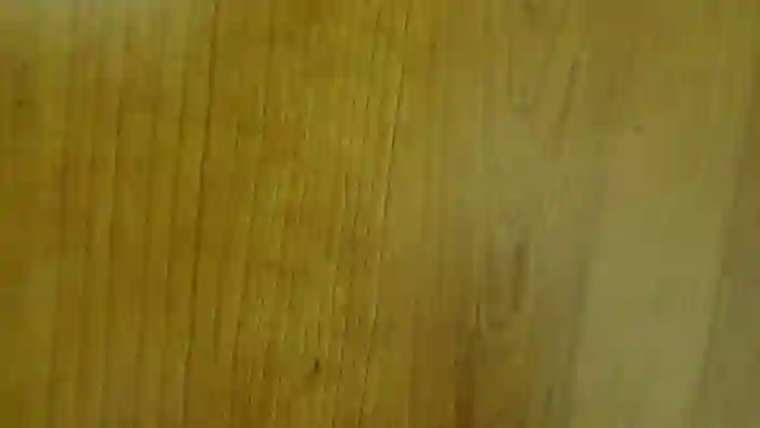 Robyyyy69