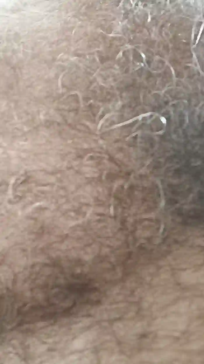 peludao3