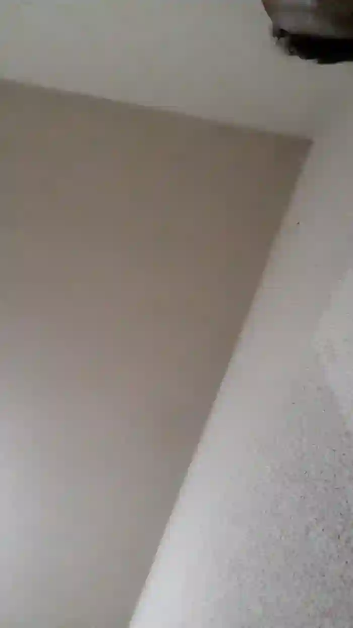 REGIHH_ROO