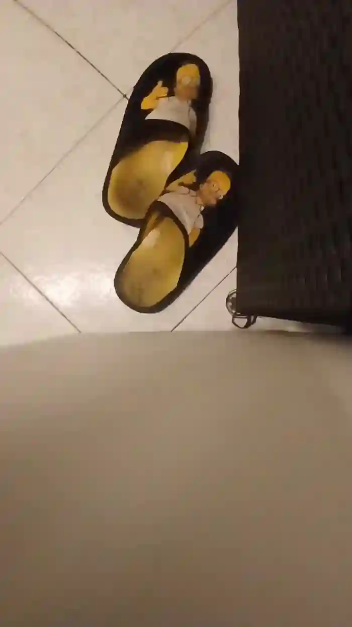 alessandravite1